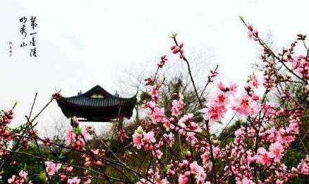 201532491255742 (1).jpg