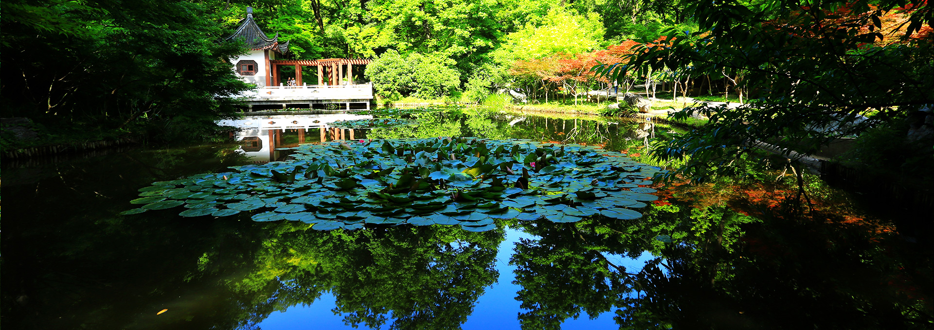 Goose tail God stone