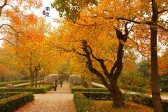 【我們好像在哪見過】——初秋金陵行！~