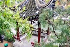 历史的南京，很有底蕴~ 深秋的南京，很美~