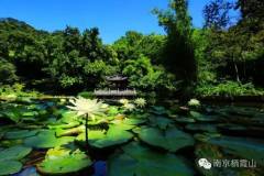 栖霞山丨人生那么长，路上好景相伴才更有趣！