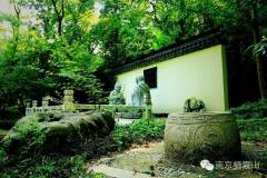 夏日栖霞寺书怀寄张逸人