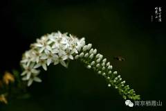 每一个不曾起舞的日子都是对生命的辜负