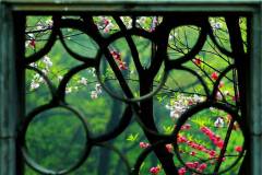 栖霞山，那些陪你走过的四季时光