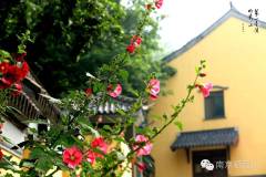 同江仆射游摄山栖霞寺