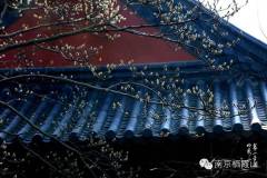 【诗栖名山】栖霞感旧