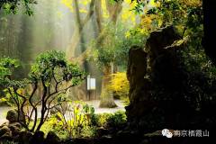 栖霞山对你的陪伴不在身边，却在心间