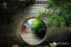 正是这一份雨后静谧的美好让我爱上栖霞山