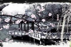 栖霞山首届“山·寺·桃花”会正式启动啦~~（给你不一样的春游体验）