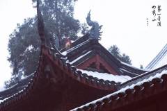 【栖霞山】冬日风情