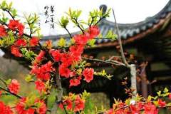 花藏世界，生命如花