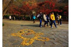 南京栖霞山邀市民去“玩”红叶 