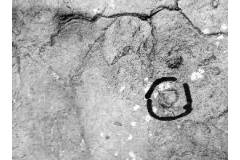 南京栖霞山3亿年前是片“海”