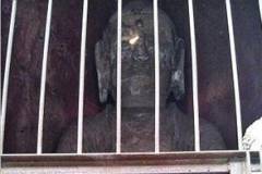 南京栖霞山三圣殿“玄光”提前出现