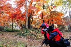 “醉美栖霞山”摄影大赛等你参与