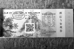 看枫叶 “森呼吸”