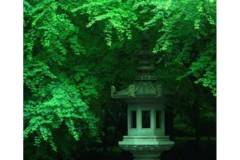 真心话不冒险：在你心里，最喜欢栖霞山的（ ）？