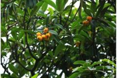 【栖语堂】历经岁月洗礼，依旧熠熠生辉