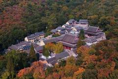 南京—栖霞—红枫