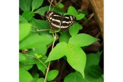 让栖霞山治好你的不想上班综合症！