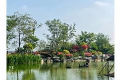 栖霞山丨来人间一趟，总要活得灿烂，带着阳光和果香