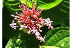 【栖语堂】活成自己的太阳，温暖有力量