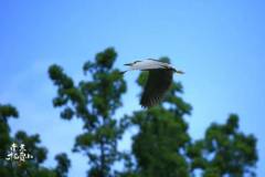 【栖语堂】活成自己的太阳，温暖有力量