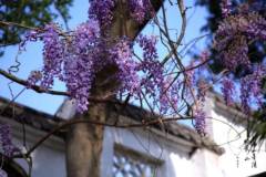 【栖语堂】精彩的人生，都是通过不懈努力得到的