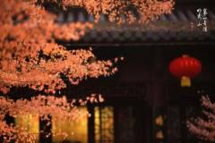 【栖语堂】世上最美的风景，就是努力的你