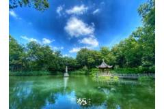 栖霞山丨这个夏天，有微风，也有热爱