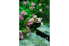 【栖霞山·节气新知】夏至：最长的这个白天你要怎么度过？