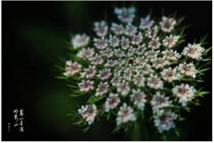 【栖语堂】心态，胜过万千良药