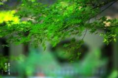 【栖语堂】生活中的小确幸，藏在这些小事里