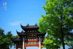 栖霞山丨仲夏初茫，七月未央