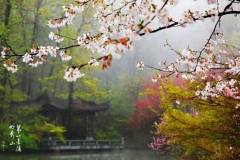 栖霞山，与那盛唐的三万里。