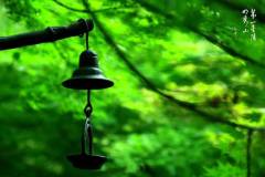 【栖语堂】生活，一半烟火，一半诗意