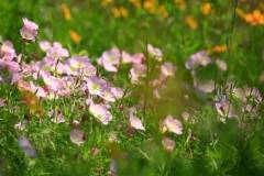 让栖霞山治好你的周一不想上班综合症