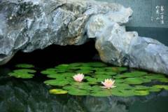 栖霞山丨夏日的尽头，是在酝酿的秋天