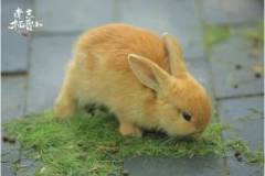 云天收夏色，木叶动秋声，一起感受栖霞山的一点点秋意~