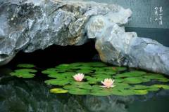 【栖语堂】别为难自己，别蹉跎岁月