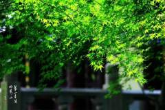 【栖语堂】丰富自己，胜过取悦别人