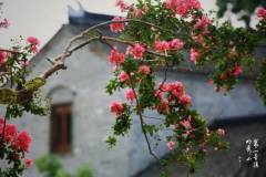 【栖霞山】周日，不就应该一起爬山吗？