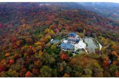 今秋，来栖霞山陆羽茶庄赏枫，品尝季节限定枫叶茶点吧~