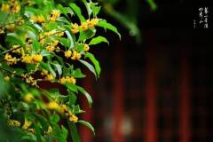 【栖语堂】全力以赴，勇敢向前！