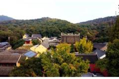 起风了，期待着栖霞山新一轮的如火绽放……