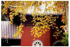 【栖语堂】每天请多爱自己一点点