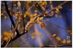 栖霞山丨忙而有度，闲而有趣