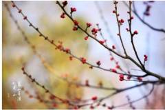 栖霞山丨时光，总会把最好的留到最后