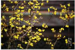 【栖语堂】坚持终身成长，你想要的或会水到渠成