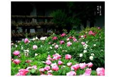 栖霞山丨以五月的名义，期待夏天的风景